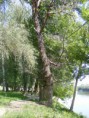 /album/kepgaleria-fenykepgaleria/kep-022-jpg/